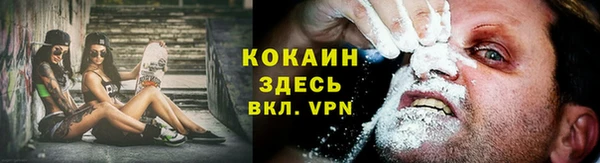 МДПВ Карпинск