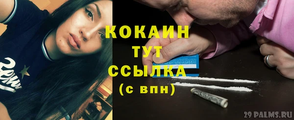 гашиш Касимов