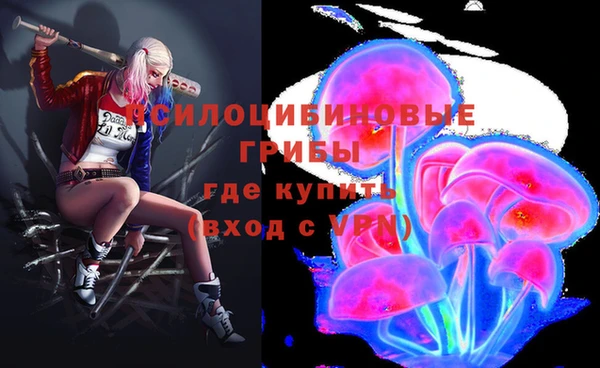 МДПВ Карпинск