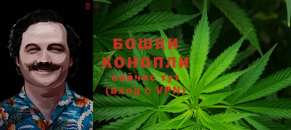 гашиш Касимов
