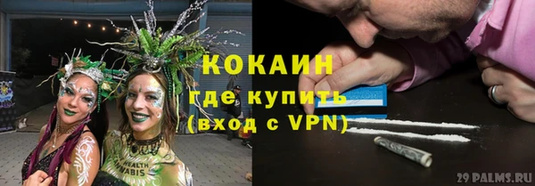 МДПВ Карпинск