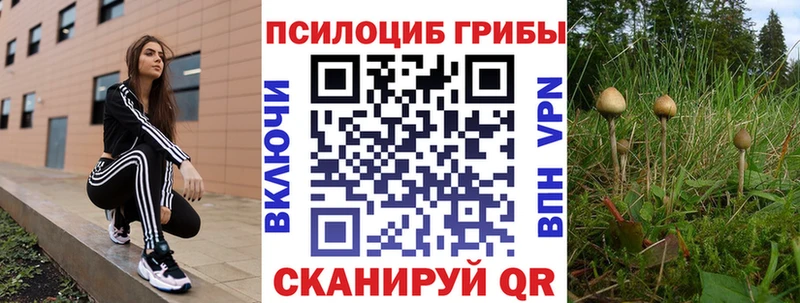 Купить Бронницы Галлюциногенные грибы Magic Shrooms